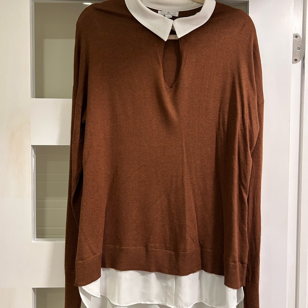 RW&Co. Brown Fooler Sweater with White Collar